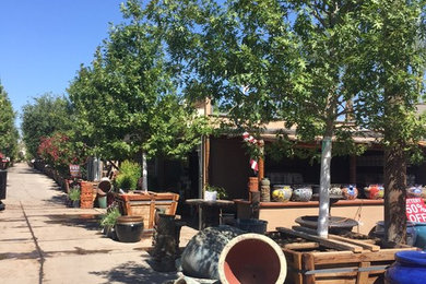 This is an example of a modern landscaping in Phoenix.