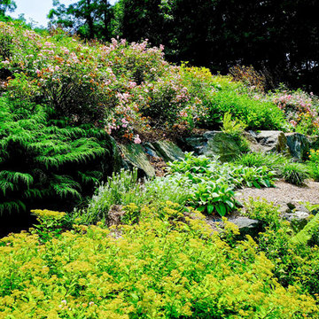 Hillside Beautification