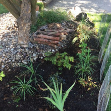 Rain Garden 'Boy With Fish'