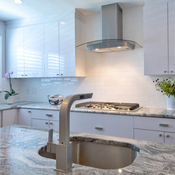 Contemporary White Kitchen