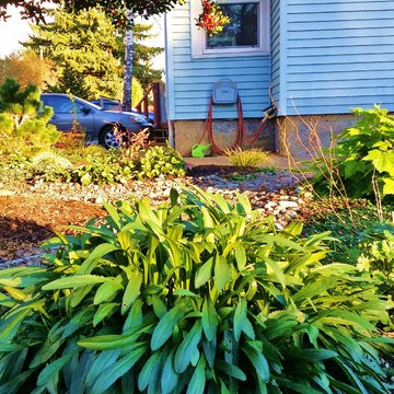 Woodstock Rain Garden Landscape Makeover