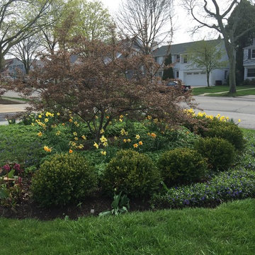 A specimen crabapple surrounded with boxwood and ground covers