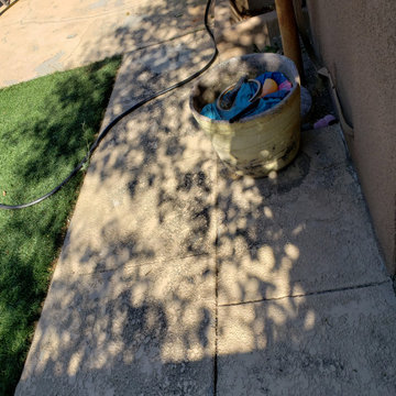 Backyard clean up and remodel