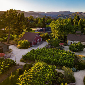 Stone Barn Farm