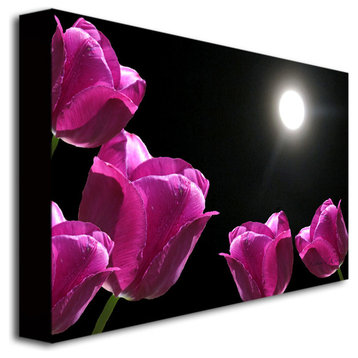 'Tulips in the Moonlight' Canvas Art by Kathie McCurdy