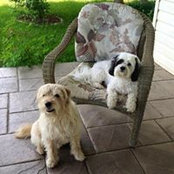 Louise Greco's photo