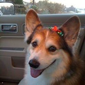 Mike Bruner's photo