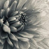 Diana Mow's photo