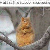 Caroline Brenner's photo