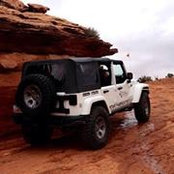 Troy McDonald's photo