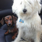 Sharon McNeil's photo