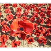 Nicola Ralston's photo