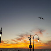 Photo de Deepthi D