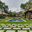 Waterscapes Custom Pools, LLC