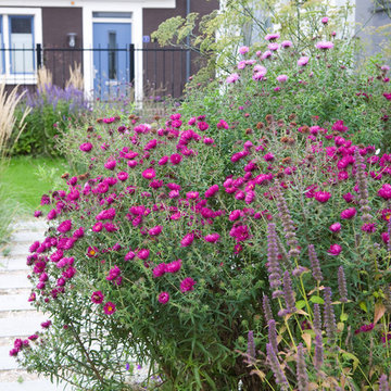 Beach garden in the middle of a new development