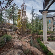Front Yard 2021