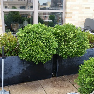 Greenwich Village Rooftop Garden
