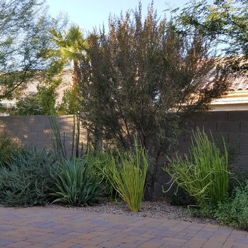 Plantings - 4 years