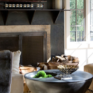 Contemporary Full Home Design in Raspberry Patch, CO