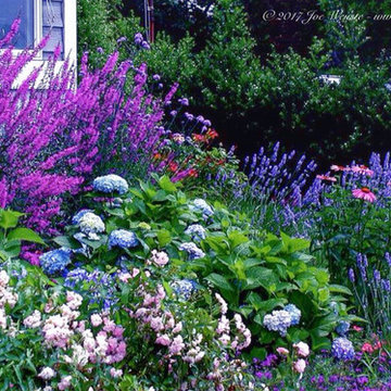 Flower Bed