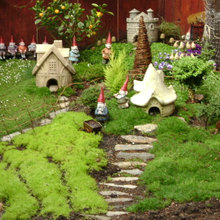 gnomes
