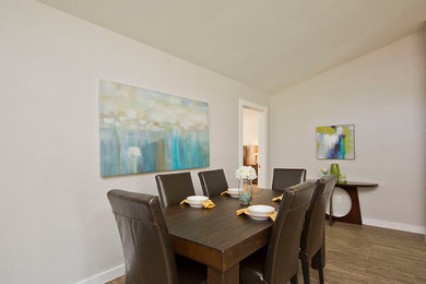 Dining room - contemporary dining room idea in Austin