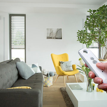 Motorized Blinds