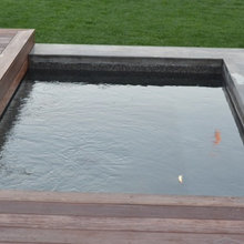 ForRarefield/outdoor