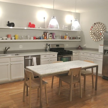 Chicago Loop Highrise Princess White Counters