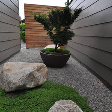 Garden Ideas