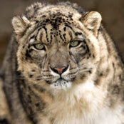 Photo de MrMihaiD .
