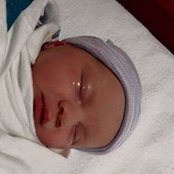 Steven Merica Jr's photo