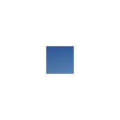 Rachel Gorenstein's photo