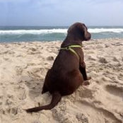 Janet Amorello's photo
