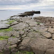 Katie Ave's photo