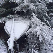 Lynda Mcdavid's photo