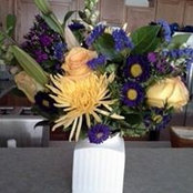 Kim Opland Smith's photo