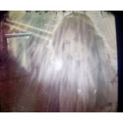 Foto von Hessa Al-Towaijri