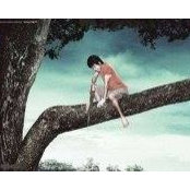 Cuong Van's photo