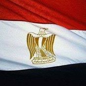 Manal Hamdy's photo