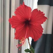 Amy Prusinowski DeLong's photo