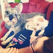 Jessica Clark's photo