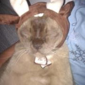 Kathy Thurecht's photo