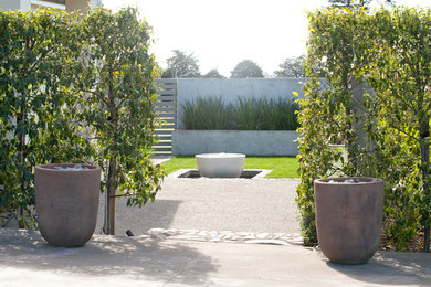 This is an example of a garden in Napier-Hastings.