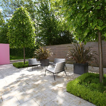 pool deck & pond