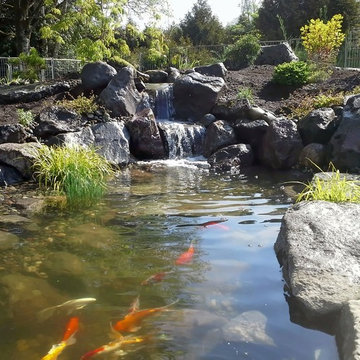 Ponds
