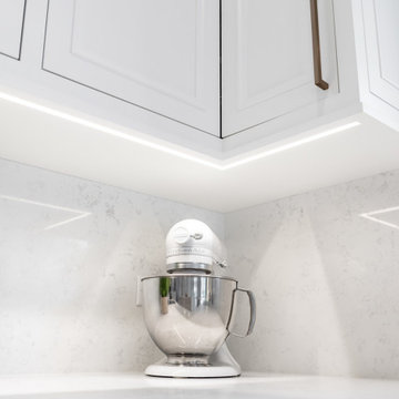 Skokie Single Family Home Remodel DESIGN BUILD