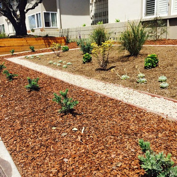 Turf Removal