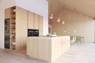 Example of a kitchen design in Other