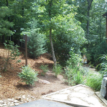 Landscape & Foundation